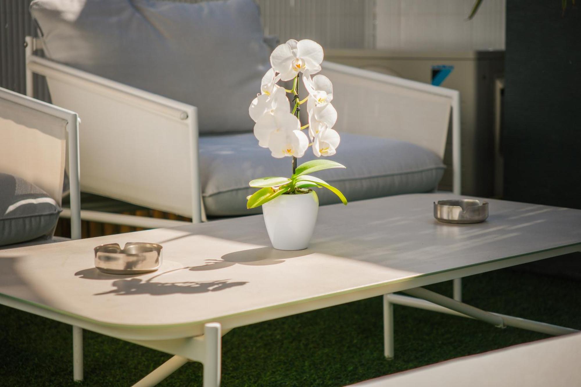 Villa Bono Jacuzzi & Spa Saint-Laurent-du-Var Eksteriør billede